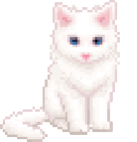 gato